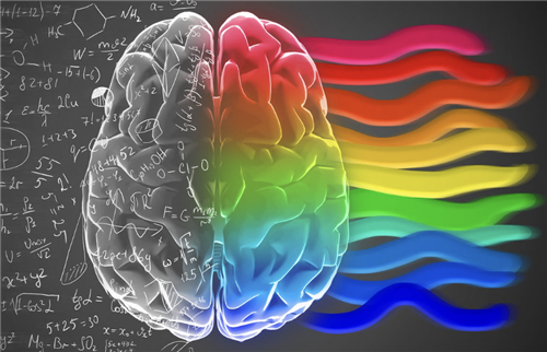 color brain